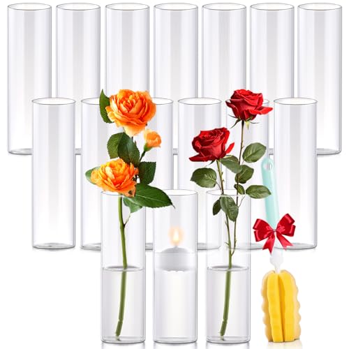16Pcs Glass Cylinder Bud Vases for Centerpieces,7.7 In Tall Clear Flower Vases in Bulk,Glass Small Vases Floating Candle H...