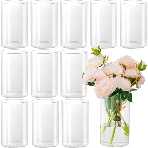 DYMFADFB 12pcs Glass Cylinder Vases for Centerpieces - 6 Inch Tall Flower Vase for Wedding Decorations, Clear Glass Flower...