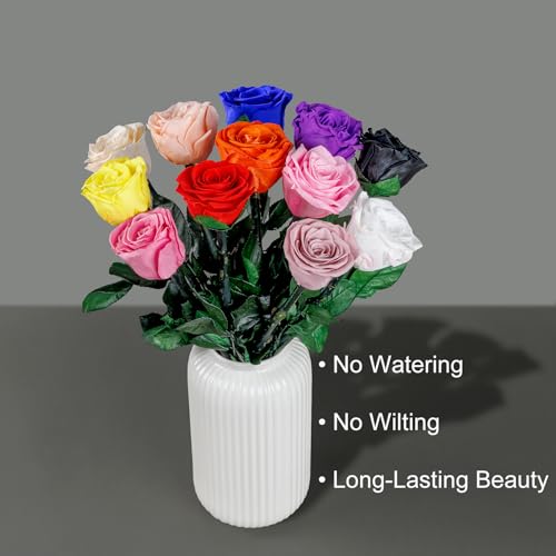 Preserved Flowers Gifts for Women, Flowers for Delivery, Single Roses with Stem, Valentines Day Roses Gifts for Her, Mothe...