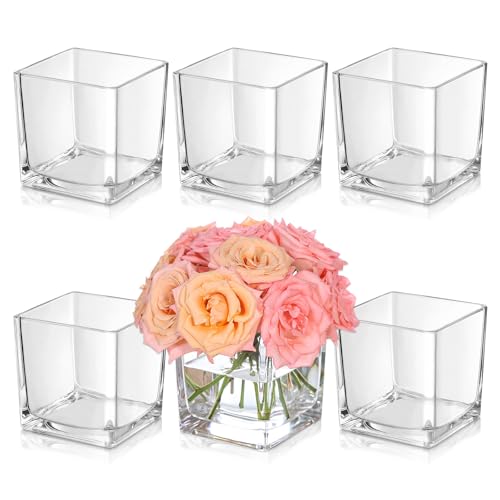 KEYWING 6 Pack Square Glass Vase 4" x 4" x 4", Clear Flower Vases for Centerpieces, Square Glass Cube Vase Candle Holder f...
