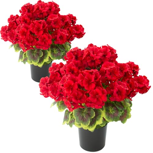 lovemoon 2Set Geranium Potted Artificial Flowers,Fake Geranium Plants for Outdoor Home Décor Office Tables Porch Garden De...