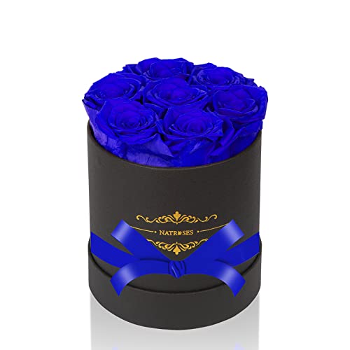 NATROSES 7 Piece Preserved Roses in a Box, Preserved Flowers for Birthday, Flower Gifts for Mothers Day (Royal Blue)