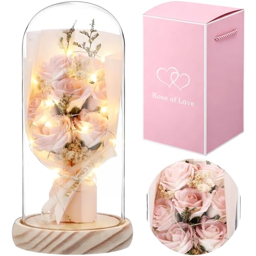 Dingion Valentines Day Preserved Flowers Gifts for Her Forever Fresh Rose Flowers Bouquet Gifts in Glass Dome LED Light Ro...