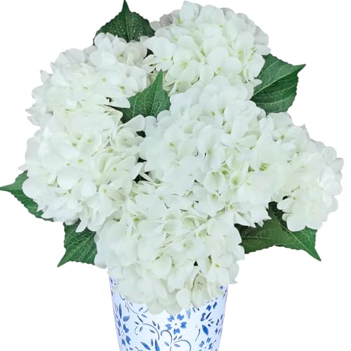 6PCS Premium White Hydrangea Artificial Flowers Bouquets, Ivory Silk Hydrangea Flowers Heads with Stems, Fake Hydrangeas F...