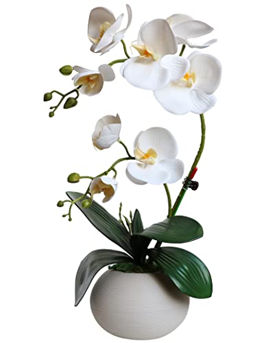 Forlaoers Tall 17" White Real Touch Orchid Artificial Flowers with Vase Fake Orchids Silk Floral for Home Decor Indoor Bat...