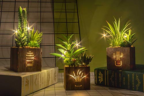 BEGONDIS Set of 3 Artificial Succulents with Led Lights in Wooden Box, Artificial Plants Plastic Fake Topiary for Home/Off...