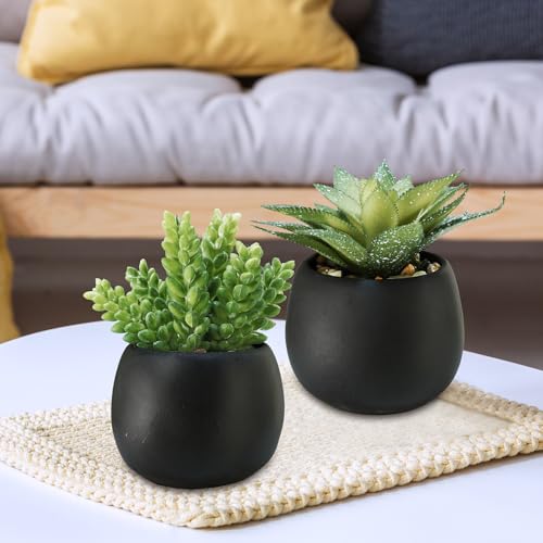Winlyn Set of 3 Artificial Succulents Plants in Black Cement Planters Faux Potted Plants Aloe String of Pearls Donkey Tail...