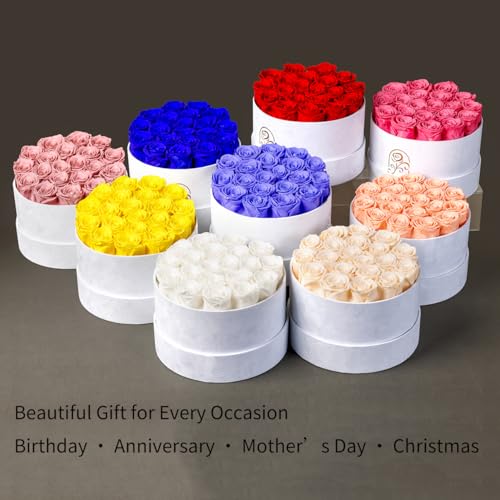 Gifts for Women Preserved Roses Flower Box, Luxury Velvet Box with 20 Roses, Preserved Flowers, Romantic Gift for Her, Wif...