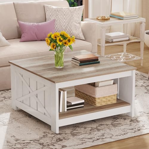 DWVO Square Coffee Table for Living Room, Farmhouse Coffee Table with Storage, 2-Tier Wood Coffee Tables Center Table with...