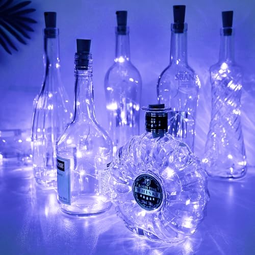 Aluan Wine Bottle Lights with Cork, Christmas Lights 10 Pack 20 LED Mini Fairy String Lights, Waterproof Battery Operated ...