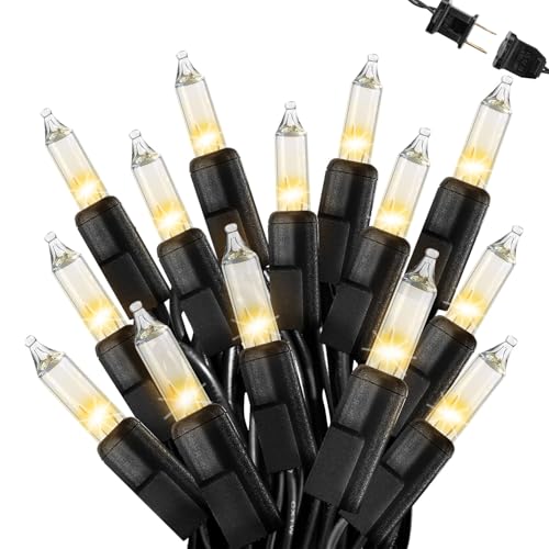 Warm White Christmas Lights Outdoor, 25FT 100 Count Incandescent Mini Christmas Lights Black Wire, Waterproof Fairy Light...