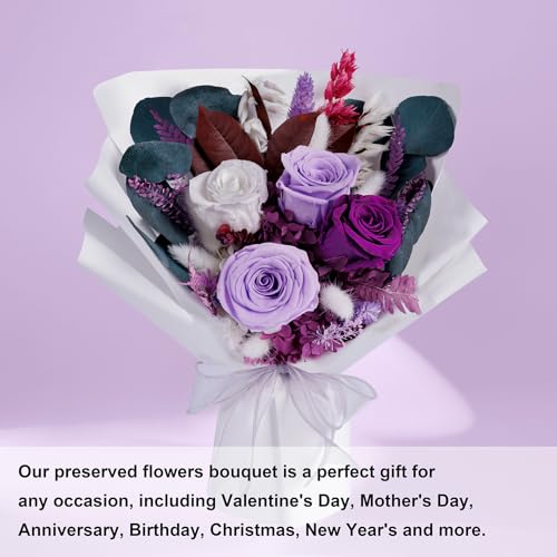 Bonsion Preserved Flowers Gifts for Women, Flower for Delivery, Purple Roses Gifts fo Her, Preserved Roses Bouquets, Birth...