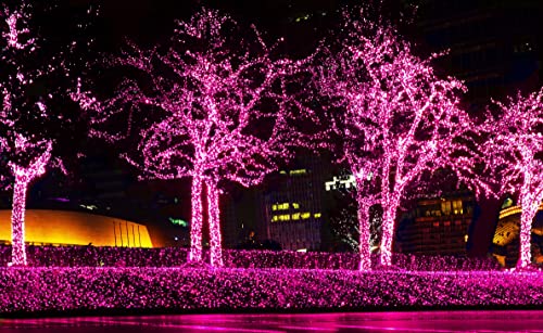 612 Vermont 50 Pink Christmas Lights on a White Wire String, UL Approved, Indoor and Outdoor Use, 9 Foot of Lighted Lengt...