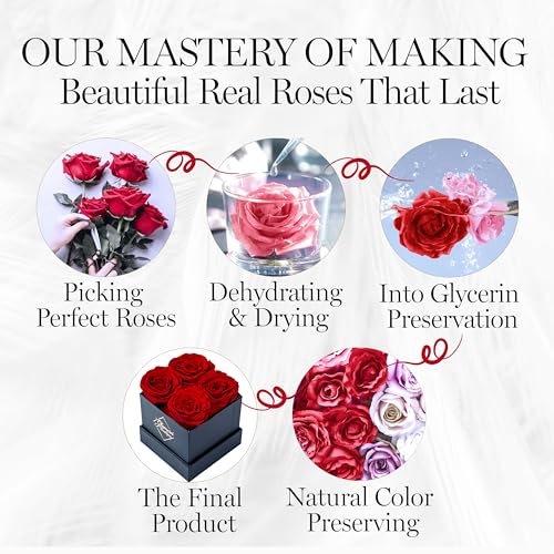 GLAMOUR BOUTIQUE Preserved Roses in a Box, 4 Roses Flowers Decor for Birthday Gift, Preserved Flowers Display, Cased in a ...