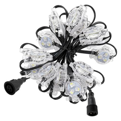 paulzhang Outdoor Christmas Lights with 30mm Diameter Point Puck Lights Modules UCS2904 SK6812RGBW for Roof and Eaves Deco...