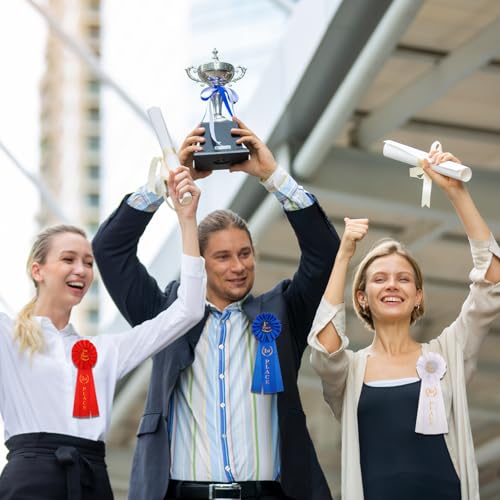 3 Pcs Ribbon Rosette Ribbon Award 1st 2nd 3rd Place Winner Victory Ribbons Award Award Ribbons Medals Prize for Classroom ...