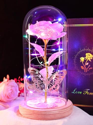 Beferr Valentines Day Rose Gifts for Her Women Mom, Galaxy Glass Rose Forever Preserved Flowers for Delivery Prime Rose in...