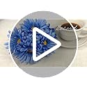 TOPIA Artificial African Daisies Flowers African Daisy Silk Flowers Artificial Gerbera Daisies Pack of 10 (White)