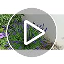 TSTWETO Artificial Plants Outdoor, 22 Pcs Fake Flowers UV Resistant Outdoor Artificial Lavender Flowers, Plastic Faux Plan...