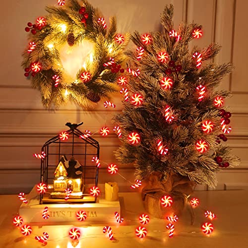 26.2 Ft 80 LED Christmas String Lights Decoration Candy Cane Candy Fairy Lights Timer 8 Modes Remote Control Battery Opera...