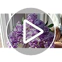HyeFlora Artificial Hanging Flowers Spring Fake Flower for Vase, 2Pcs Light Purple Silk Wisteria UV & Fading Resistant Fau...