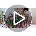 INQCMY Artificial Hanging Flowers for Outdoors, 5 Bundles UV Resistant Artificial Hanging Baskets,All Weather Fake Flowers...