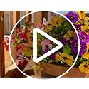 HyeFlora Artificial Flowers for Outdoor Indoor Garden Home Decoration, Faux Flower Daisy with Eucalyptus Leaves Fake Plant...