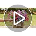 Artificial Fall Flowers Outdoor UV Resistant Fake Mums Bulk Outdoor Faux Mums Plants Plastic Flower Decorations for Home G...