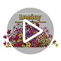 Lnoicy 24 Pcs Artificial Flowers for Outdoor,Plastic Flowers Decoration, UV Resistant Faux Flowers Shrubs, Artificial Plan...