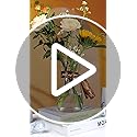 Der Rose 8 inch Clear Glass Flower Vases for Flower Bouquet Decoration Home Centerpiece Wedding Decor Gift