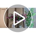 IPOPU 31" Bougainvillea Artificial Flowers 4Pcs Real Touch Bougainvillea Faux Flowers Artificial Branches for Home Decor T...