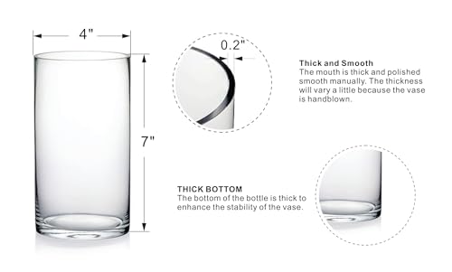 4" Wide 7" High Large Hand Blown Sturdy Clear Cylinder Glass Vase, Centerpiece Flower Vase for Rose, Tulip, Boquets, Hurri...