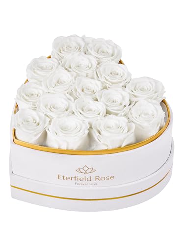 Eterfield 16 Forever Flowers in Heart Shape Box, Preserved Roses That Last a Year Preserved Flowers Birthday Gifts for Her...
