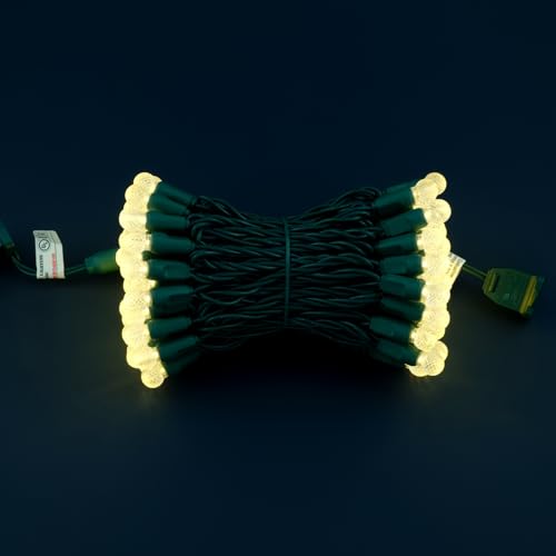 SWEET SHINE 100 Warm White Raspberry One-Piece LED Christmas Lights, 33 ft Green Cord High Waterproof UL Certified G12 Out...