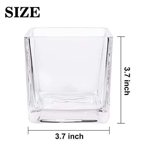 HWASHIN Set of 6 Square Glass Vases 4 x 4 Inch, Clear Cube Flower Vases with Sponge Brush, Candle Holders, Decorative Cent...