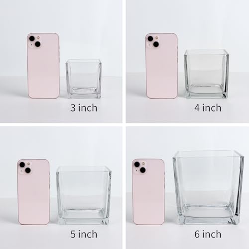 Comrzor Set of 6 Square Glass Vases 4" x 4" x 4", Clear Flower Vase, Plant Terrarium, Candle Holder for Wedding Centerpiec...