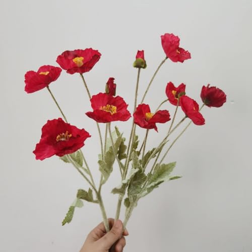 DODXIAOBEUL 3 Bundles of 22 inches Tall Red Poppy Flowers Artificial,Ranunculus Artificial Flowers,Faux Flower Stems for W...