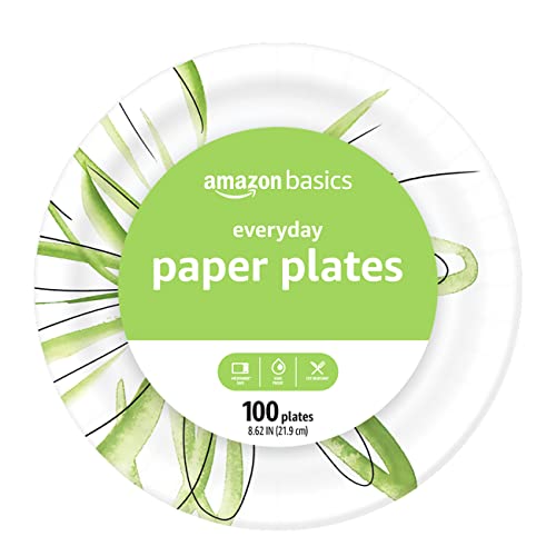 Amazon Basics Everyday Paper Plates, 8.62 Inch, Disposable, 100 Count, Packaging May Vary