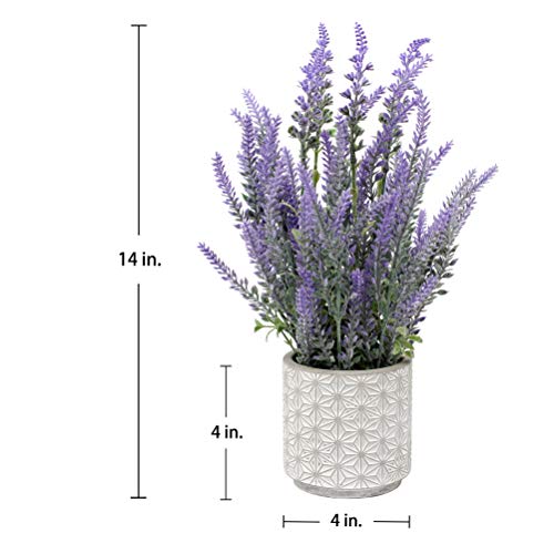 DILATATA Lavender Flowers Artificial Decor in Cement Pot - Faux Plants for Rustic Home, Bathroom, Table Centerpieces, Wedd...