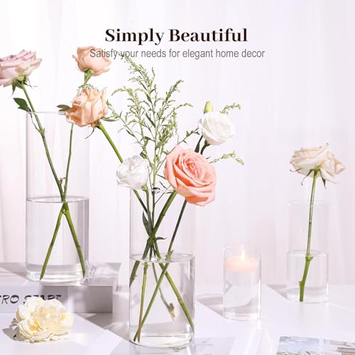 TBWIND 16 Pack Glass Cylinder Vases 4, 6, 8, 10 Inch Tall Clear Flower Vases for Table Centerpieces Wedding Decoration, Hu...