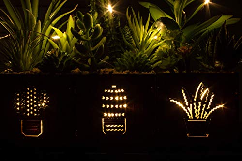 BEGONDIS Set of 3 Artificial Succulents with Led Lights in Wooden Box, Artificial Plants Plastic Fake Topiary for Home/Off...