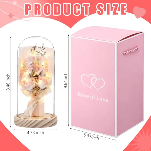Dingion Valentines Day Preserved Flowers Gifts for Her Forever Fresh Rose Flowers Bouquet Gifts in Glass Dome LED Light Ro...