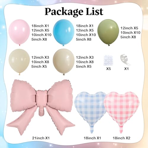 Silly Goose Balloon Arch with Checkered Heart Bow Foil Balloons, Pink Blue Sage Green Sand White Ivory Balloon Garland for...