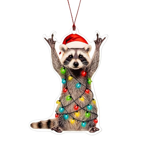 Racoon Christmas Ornament, Christmas Ornaments 2026, Funny Raccoon Gifts for Women Animal Lovers, Animal Gifts for Family,...