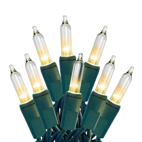 HISHINY Christmas Lights 100 Count Clear Christmas Tree Lights String with Green Wire for Outdoor Indoor Christmas Decorat...