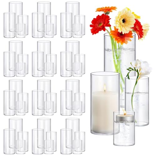 48 Pack Thick Glass Cylinder Vases 4,6,9,12 Inch Tall Clear Flower Vase Hurricane Floating Candle Holder for Table Centerp...