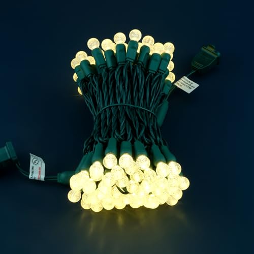 SWEET SHINE 100 Warm White Raspberry One-Piece LED Christmas Lights, 33 ft Green Cord High Waterproof UL Certified G12 Out...