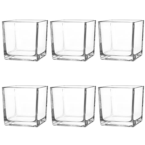 Comrzor Set of 6 Square Glass Vases 4" x 4" x 4", Clear Flower Vase, Plant Terrarium, Candle Holder for Wedding Centerpiec...