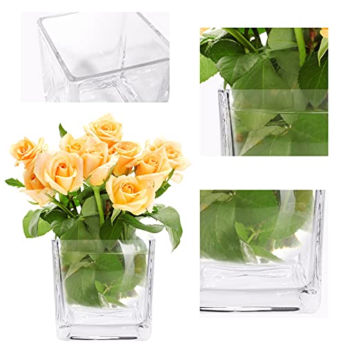 HWASHIN Set of 6 Square Glass Vases 4 x 4 Inch, Clear Cube Flower Vases with Sponge Brush, Candle Holders, Decorative Cent...