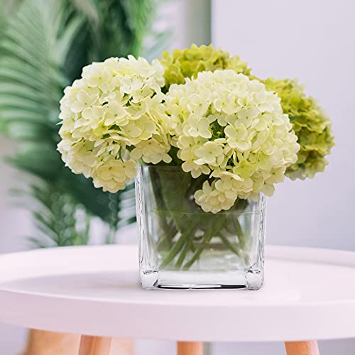 HWASHIN Set of 6 Square Glass Vases 4 x 4 Inch, Clear Cube Flower Vases with Sponge Brush, Candle Holders, Decorative Cent...